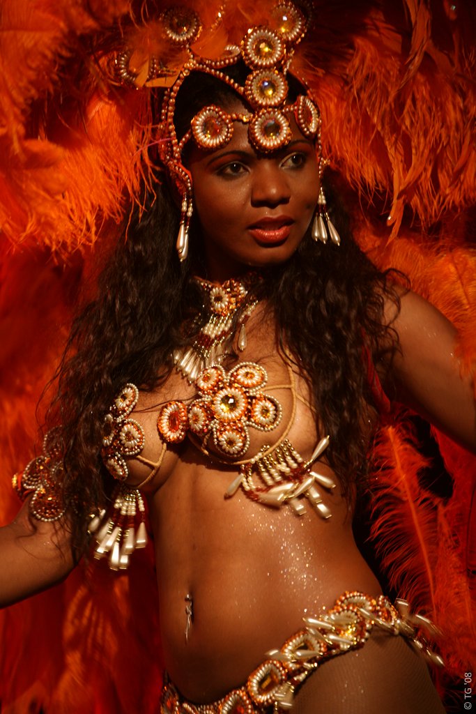 Carnaval Carioca 313