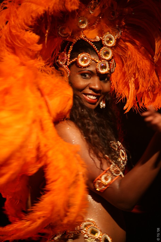 Carnaval Carioca 315