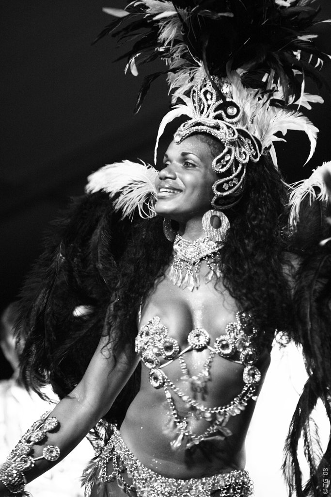 Carnaval Carioca 321