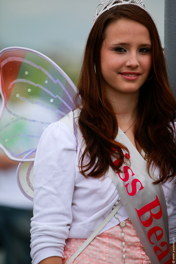 Street Parade 2010