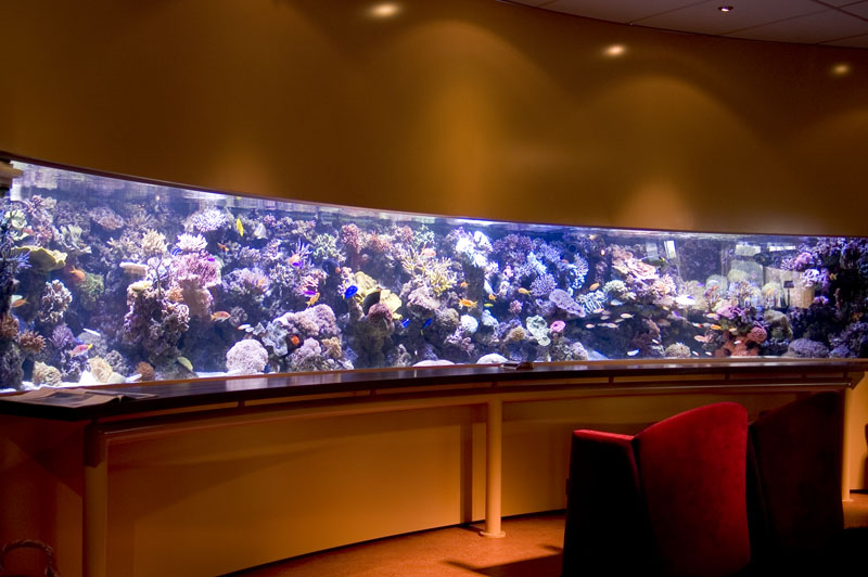 OHC Vlaardingen  8000 litres