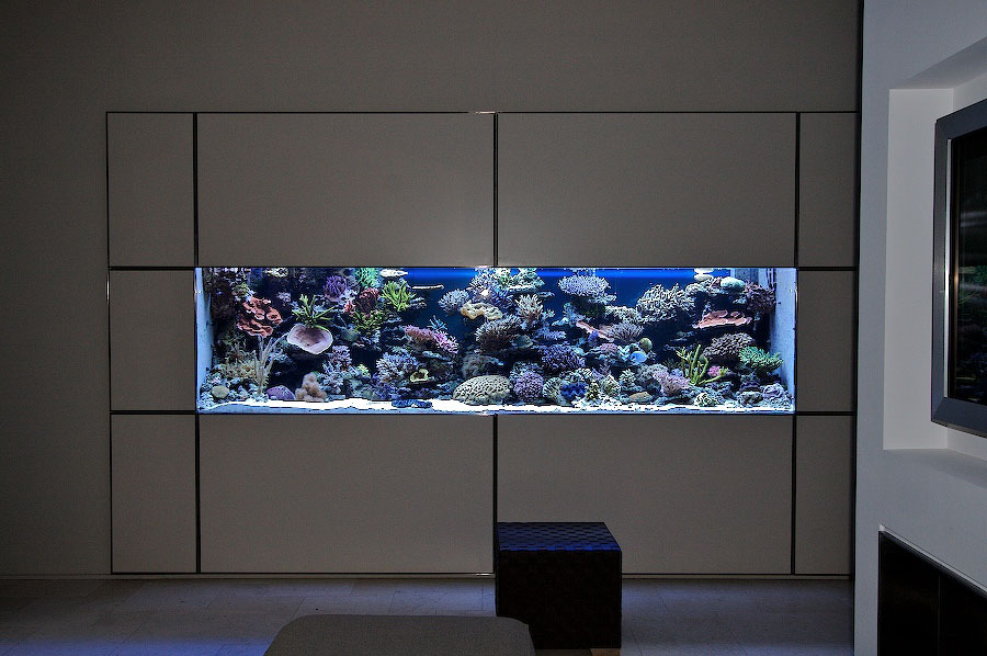 reefkeeper aout 06