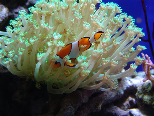 Rencontre chez Didou