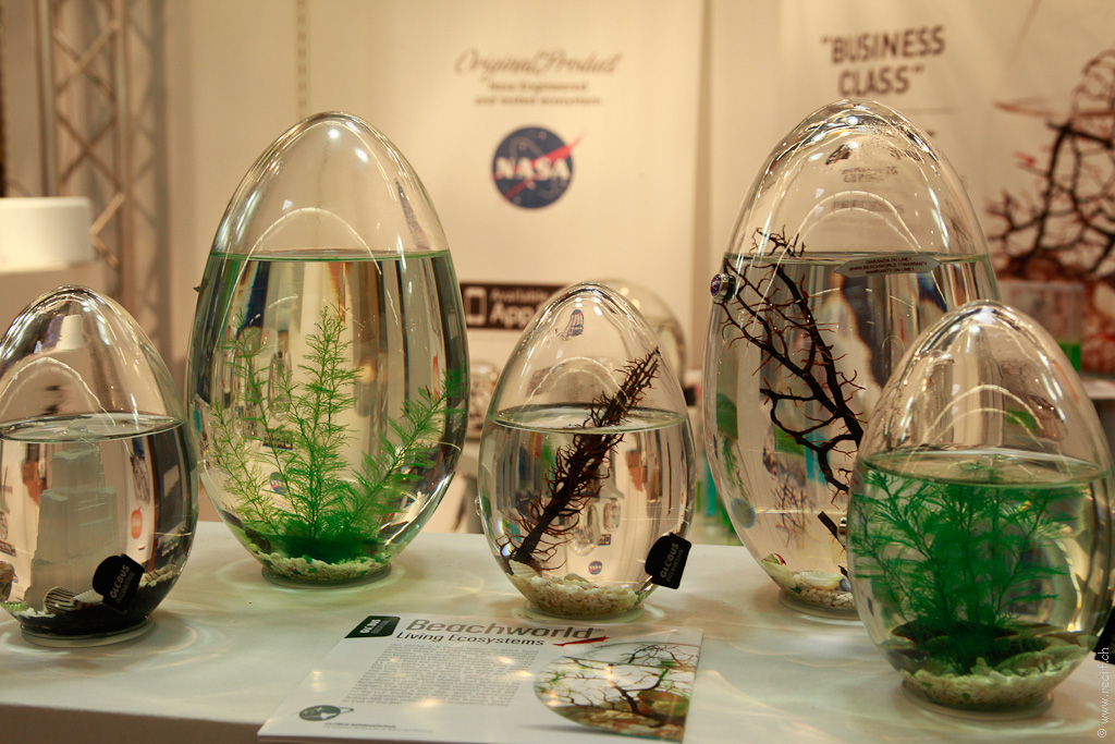 Interzoo 094