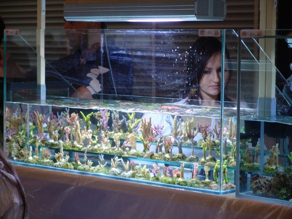 Lausanne 2006