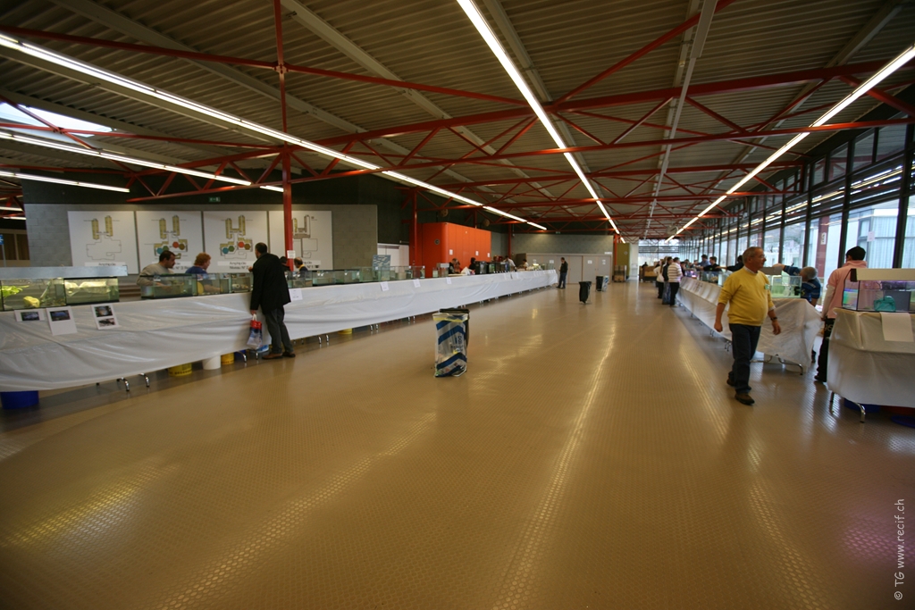 Bourse ACL (19)