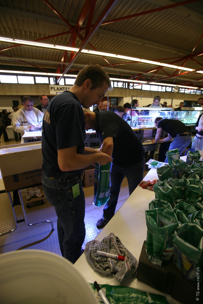 Bourse ACL (1)