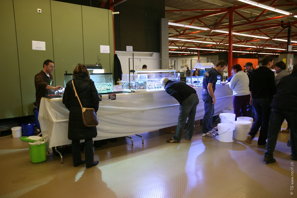 Bourse ACL (37)