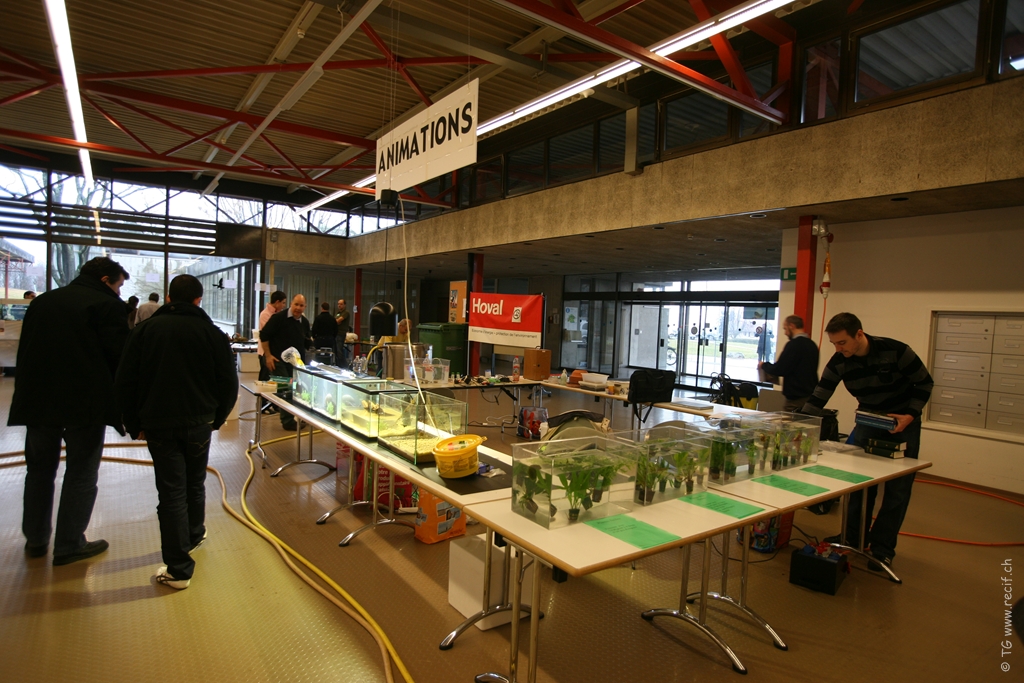 Bourse ACL (45)