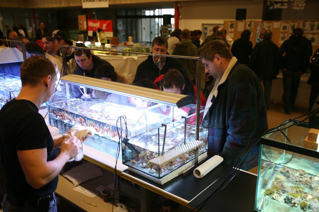 Bourse ACL (56)