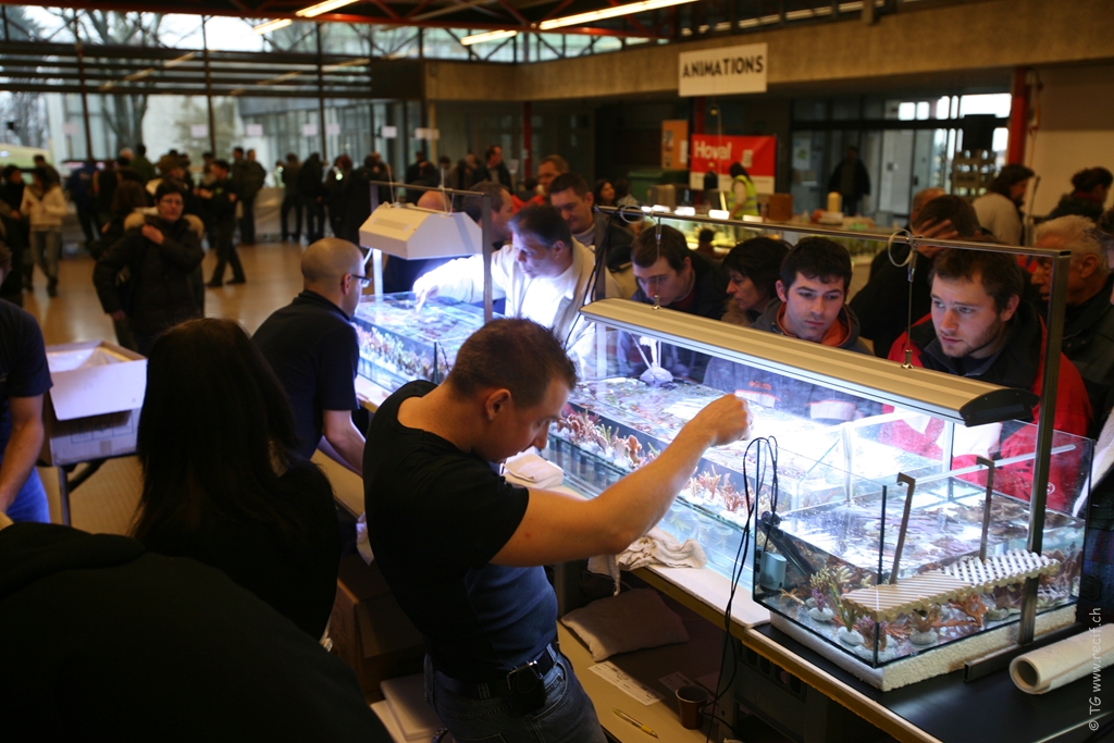Bourse ACL (57)