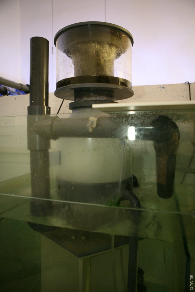 6000 litres 022