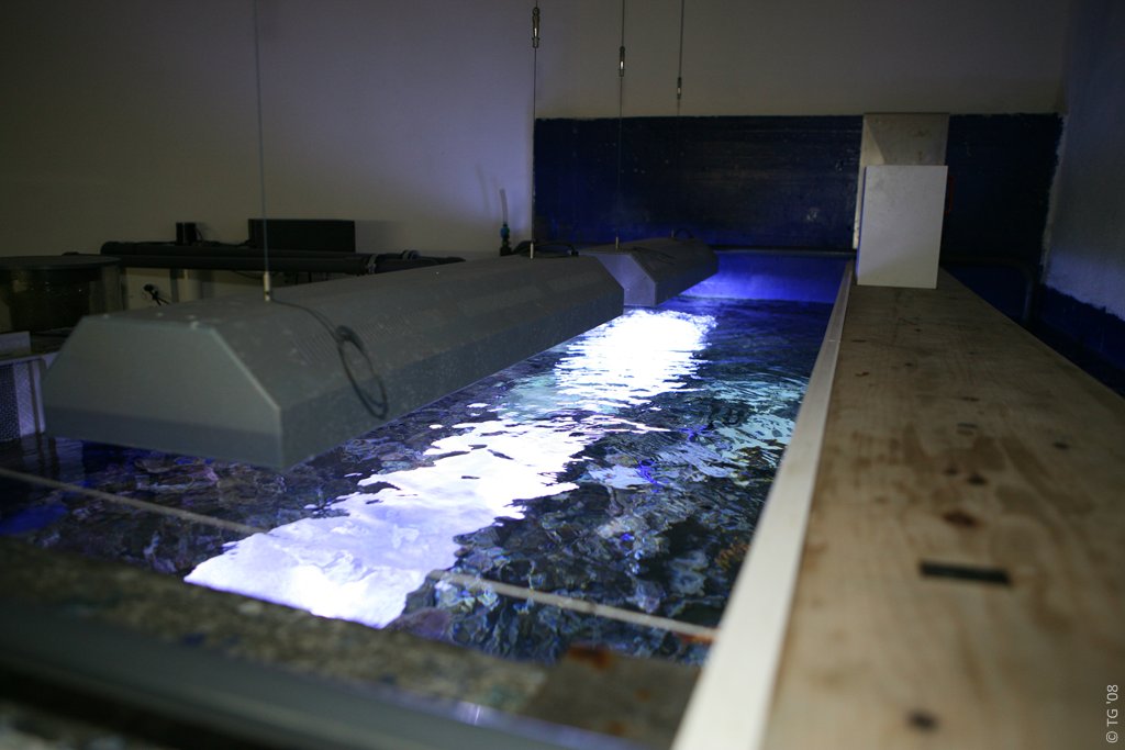 6000 litres 026