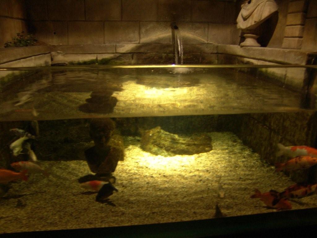 Aquarium de Londres