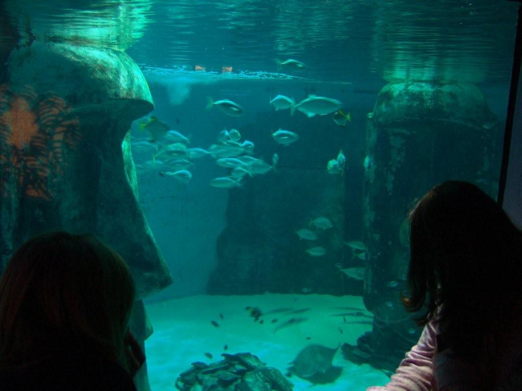 Aquarium de Londres