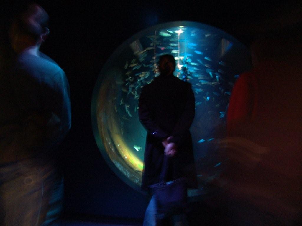 Aquarium de Londres