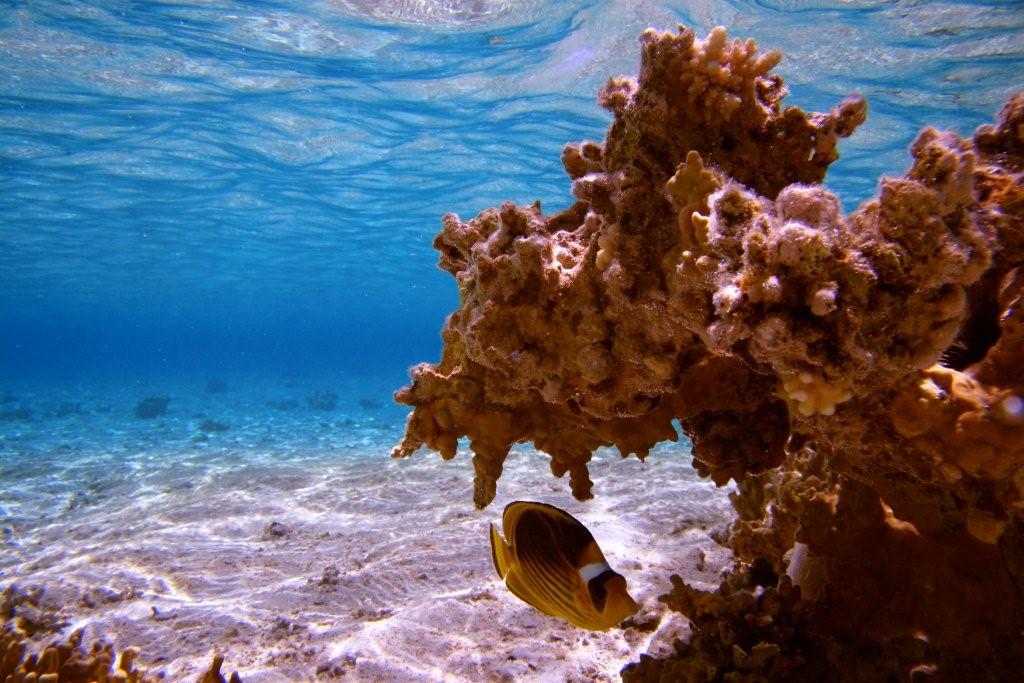 Sharm el Sheikh
