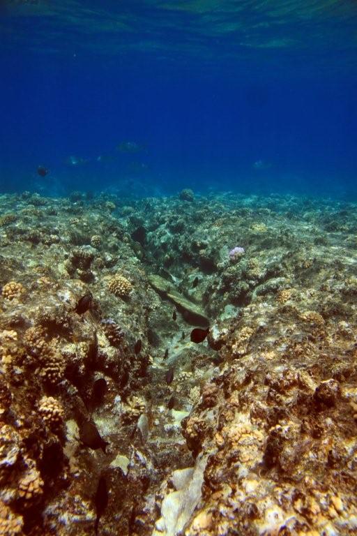 Sharm el Sheikh