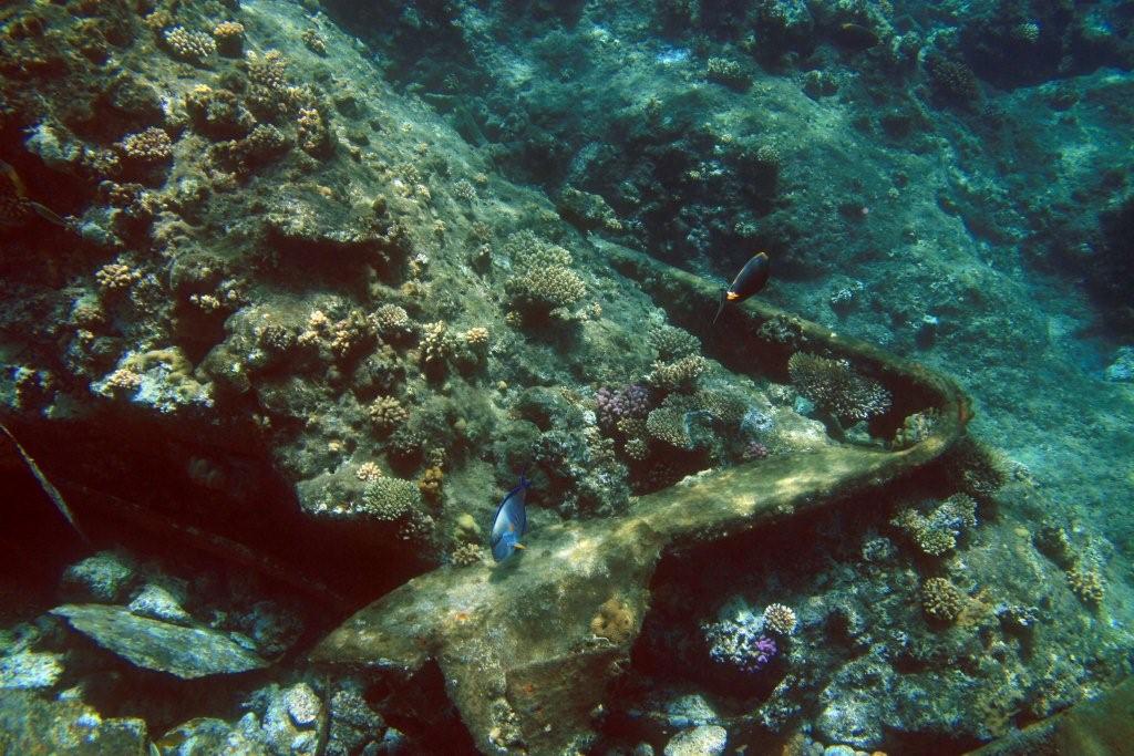 Sharm el Sheikh