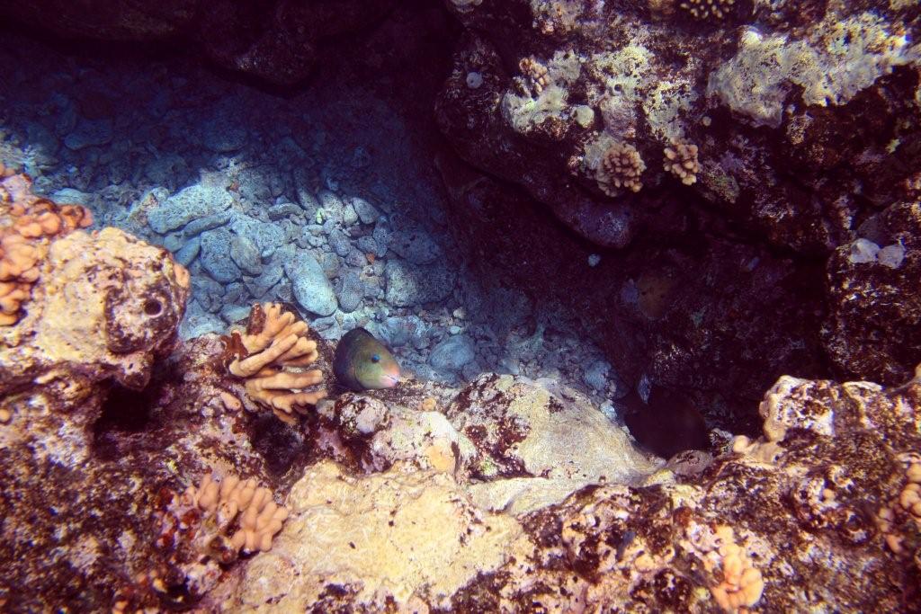 Sharm el Sheikh