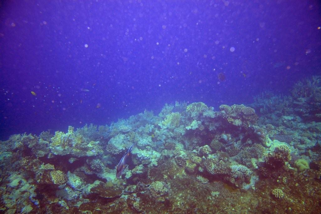 Sharm el Sheikh
