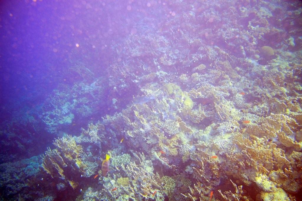 Sharm el Sheikh