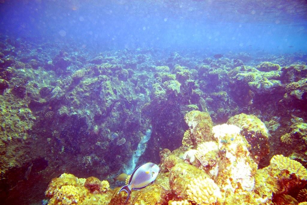 Sharm el Sheikh