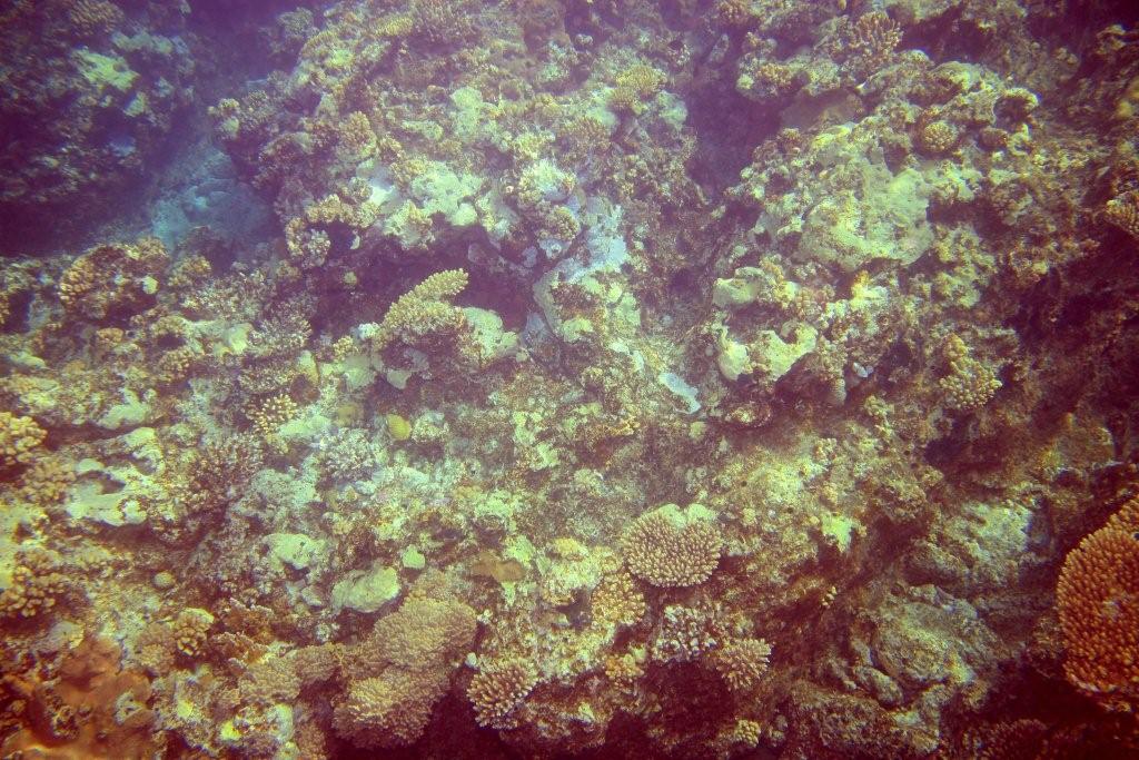 Sharm el Sheikh