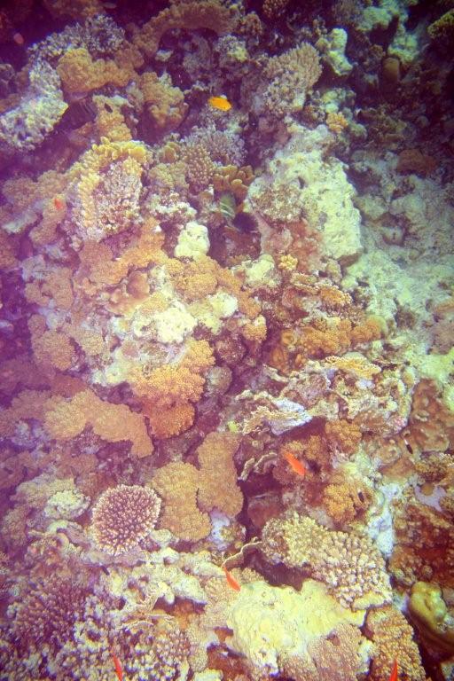 Sharm el Sheikh