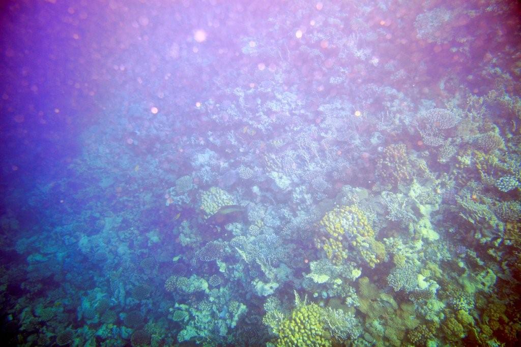 Sharm el Sheikh
