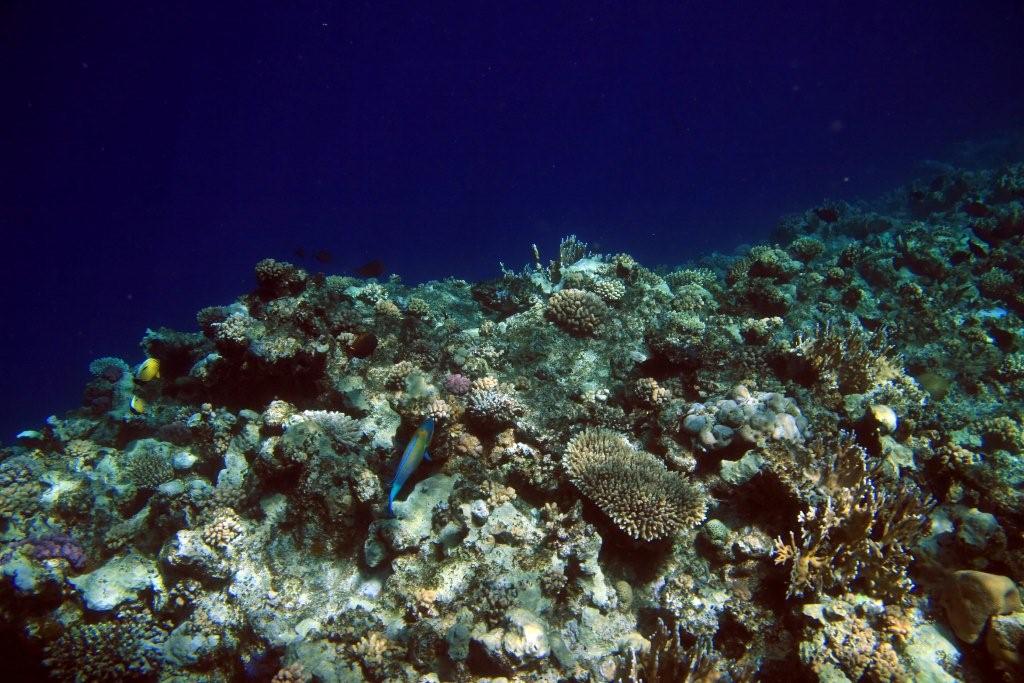 Sharm el Sheikh