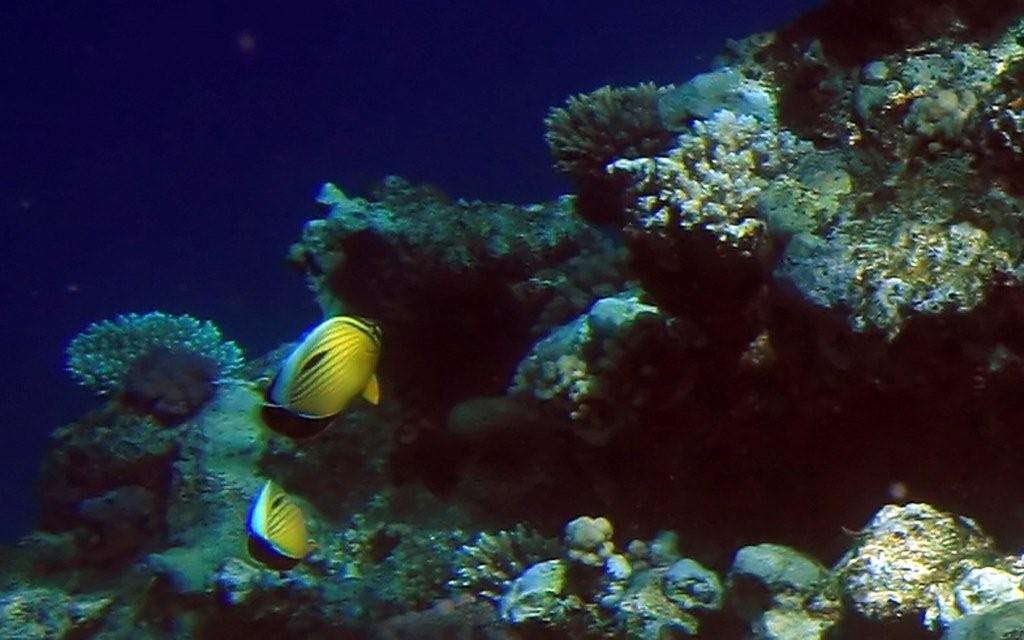 Sharm el Sheikh