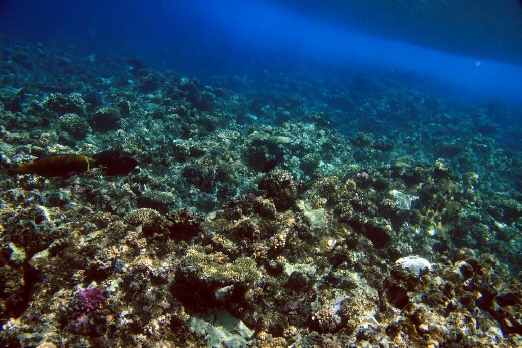 Sharm el Sheikh