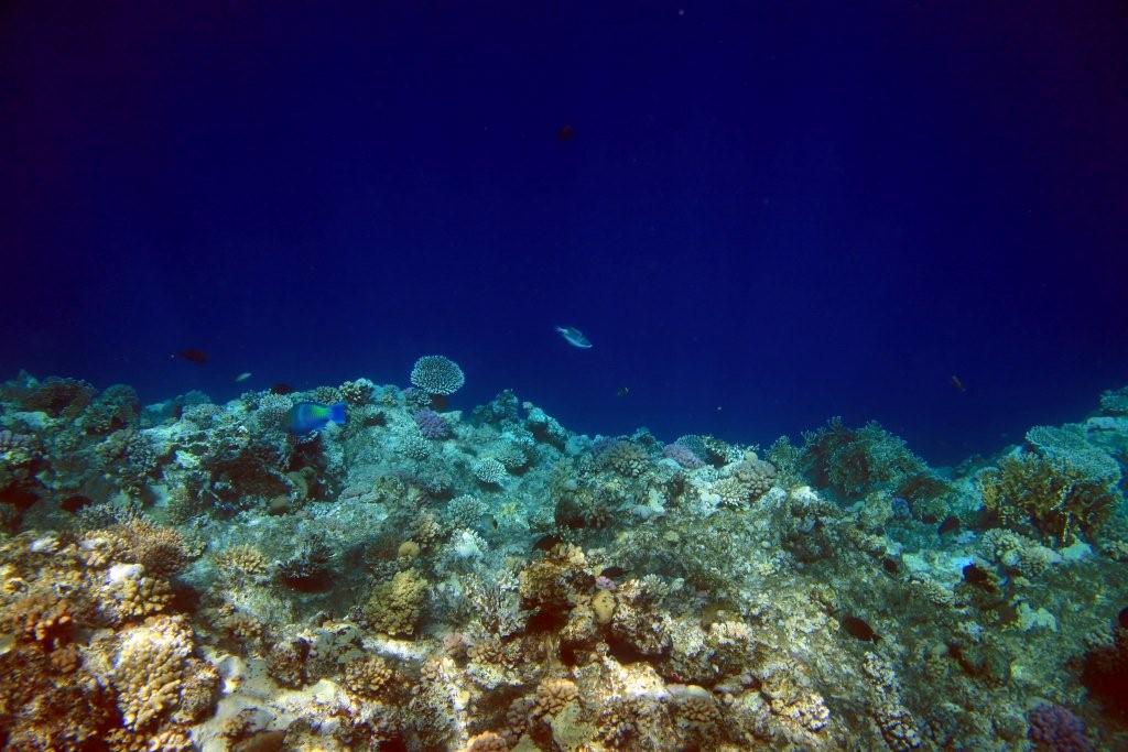Sharm el Sheikh