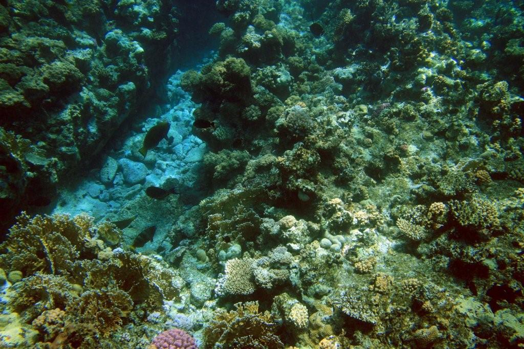 Sharm el Sheikh