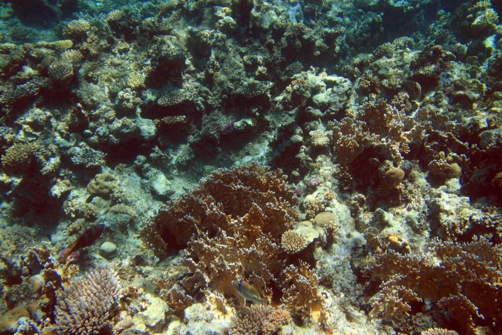 Sharm el Sheikh