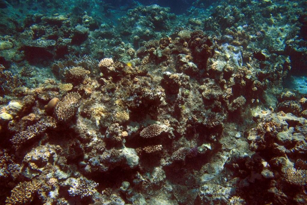 Sharm el Sheikh