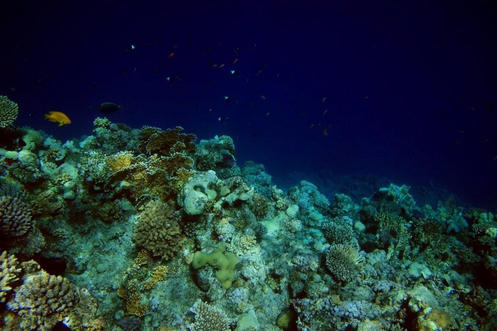 Sharm el Sheikh