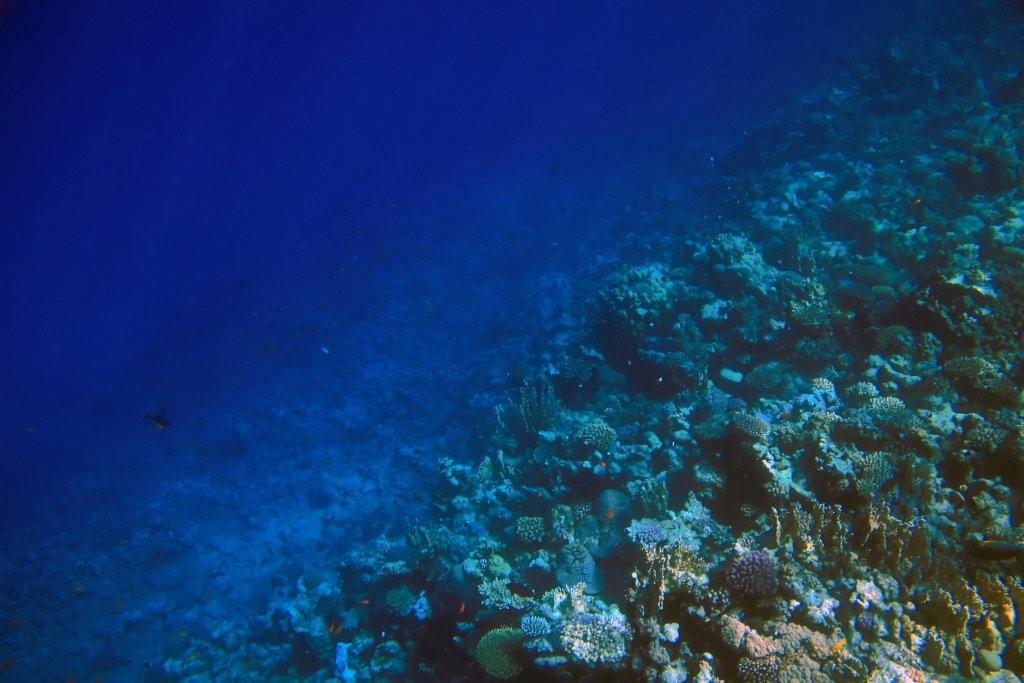 Sharm el Sheikh