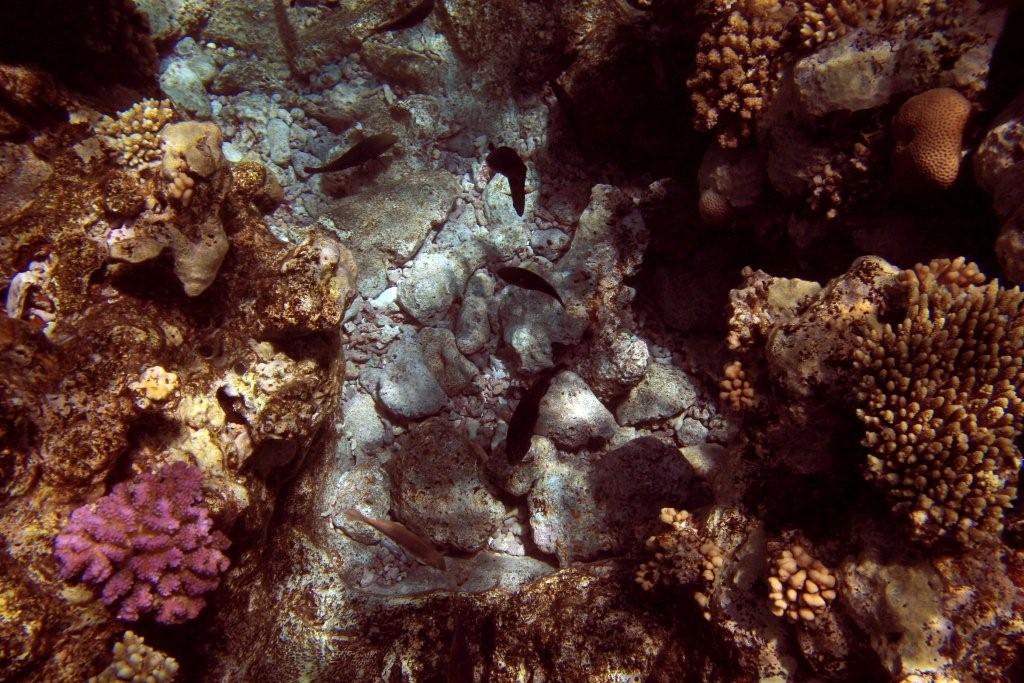 Sharm el Sheikh