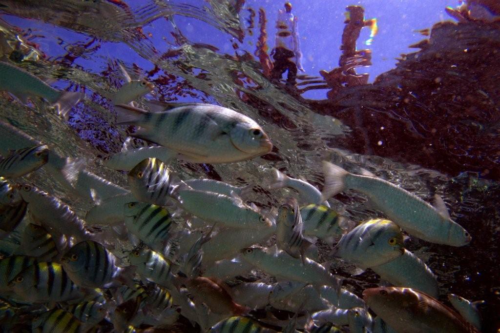 Sharm el Sheikh