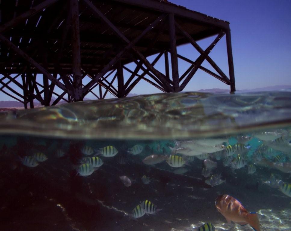 Sharm el Sheikh