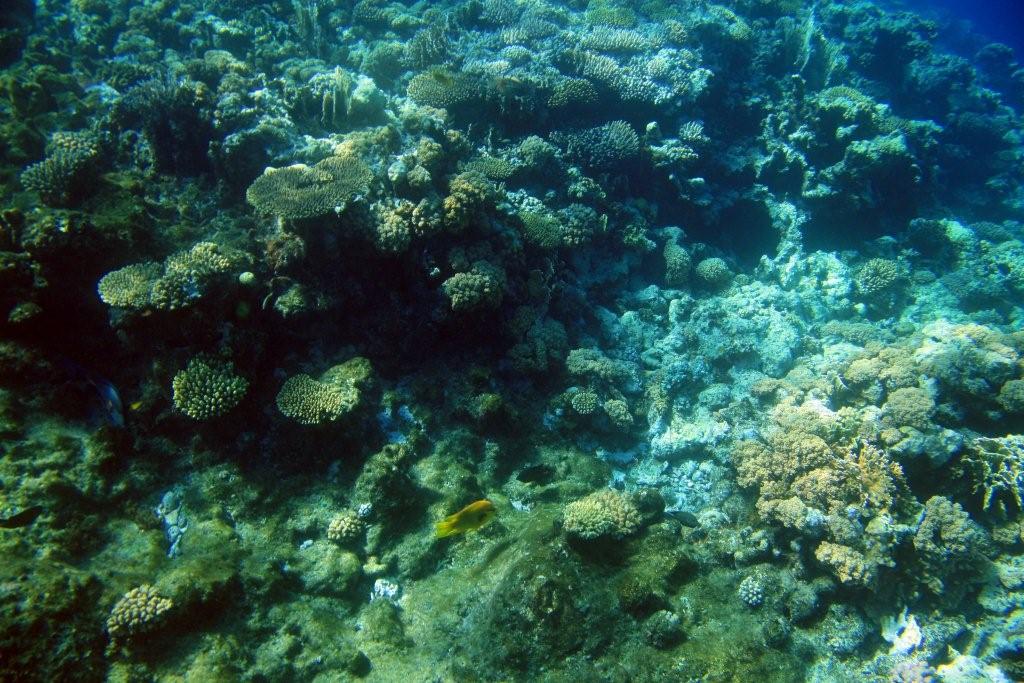 Sharm el Sheikh