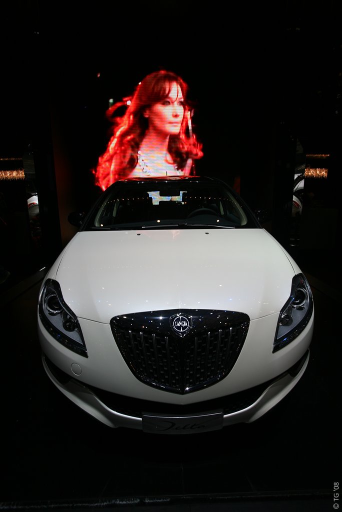 Alfa (8)