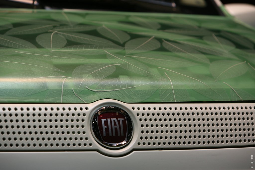 Fiat (6)