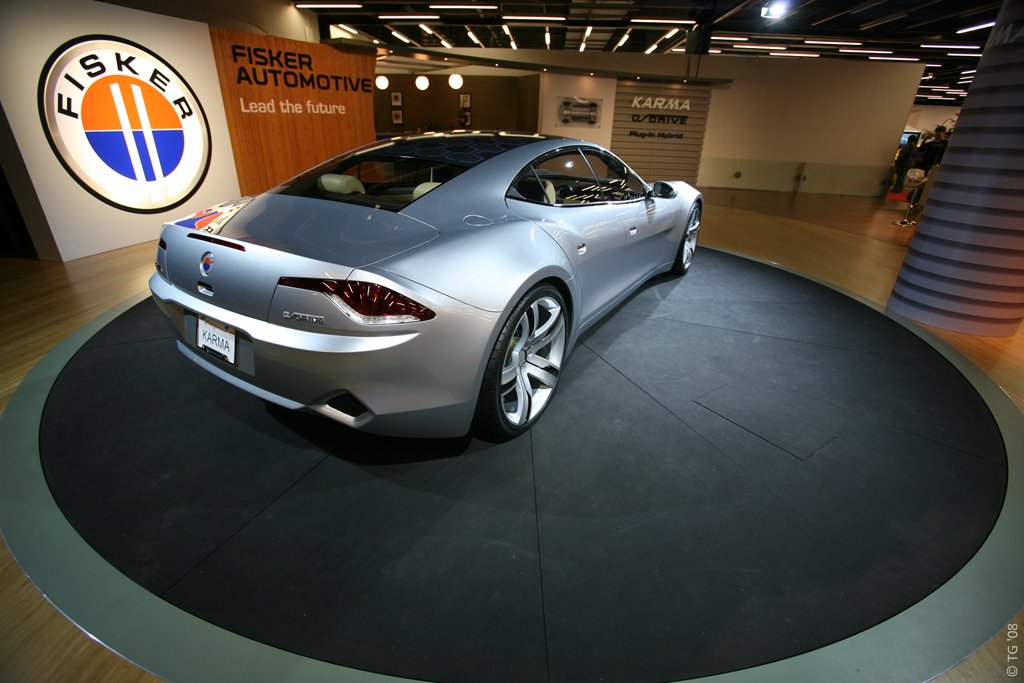 Fisker (3)