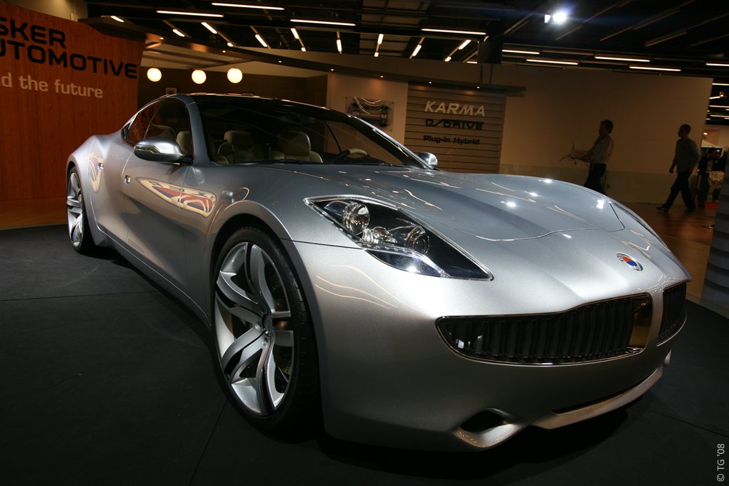 Fisker (6)