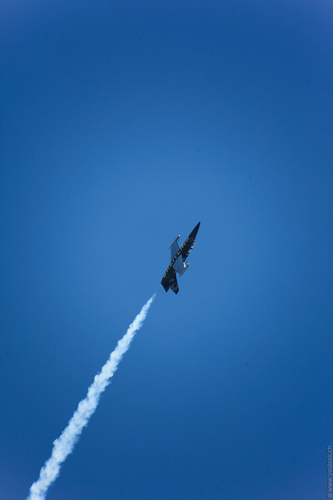 Sion AirShow 562