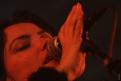 Nouvelle Vague 442