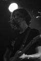 Birdpen 133